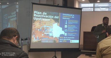 Viceministro minimiza proyecto Astillero: solo ocupará el 0,004% de la reserva Tariquía Viceministro minimiza proyecto Astillero: solo ocupará el 0,004% de la reserva Tariquía