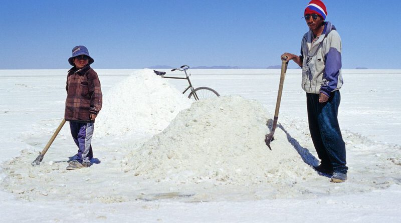 Arce: El litio debe liberar a Bolivia de una historia de “cicatrices de pobreza” que dejaron la plata y estaño
