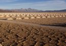 Las materias primas empujan América Latina a convertirse en superpotencia en el Siglo XXI
